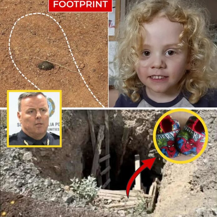 558872502_122200397126291483_8240377628400620081_n