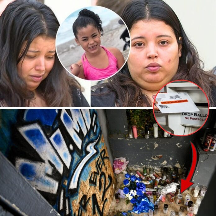 571224059_122196232394350156_635575231670330820_n