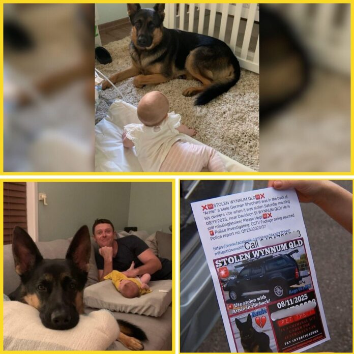 585585578_122205844628291483_3513859132788021525_n