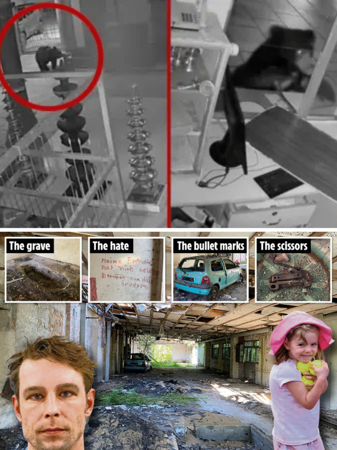 Dọc - 2025-11-19T013510.633