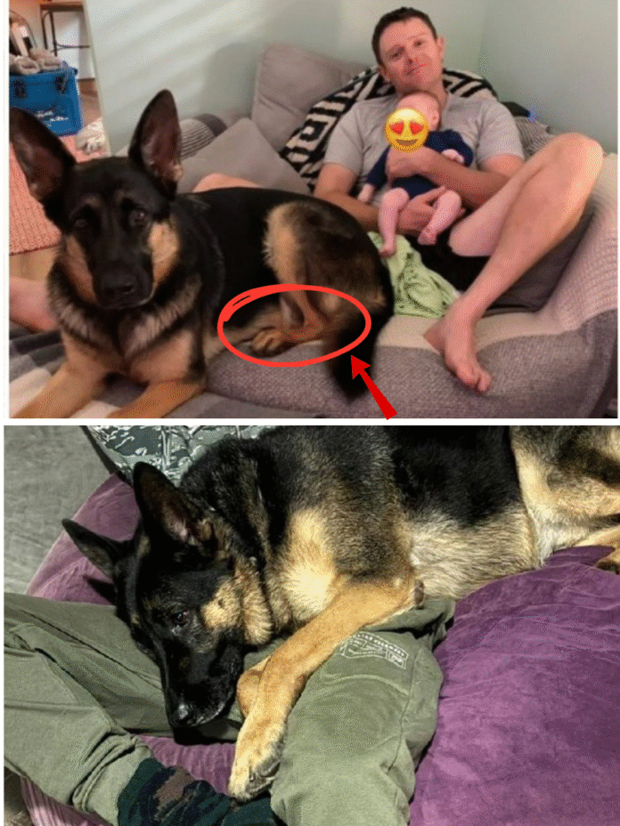 Dọc - 2025-11-25T013850.151