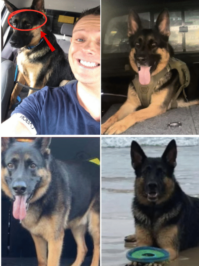 Dọc - 2025-11-26T004004.574