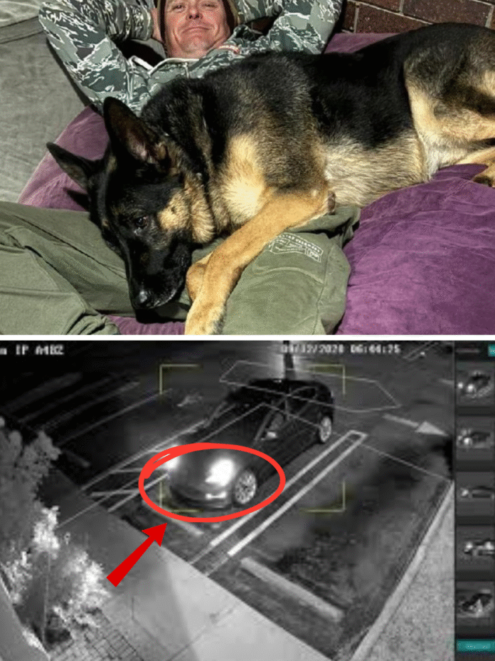 Dọc - 2025-11-28T014201.216