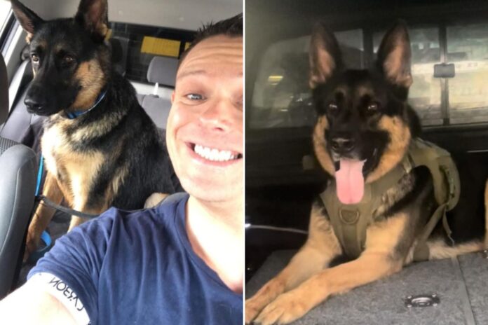 newspress-collage-9nerdbqi4-1763462112514