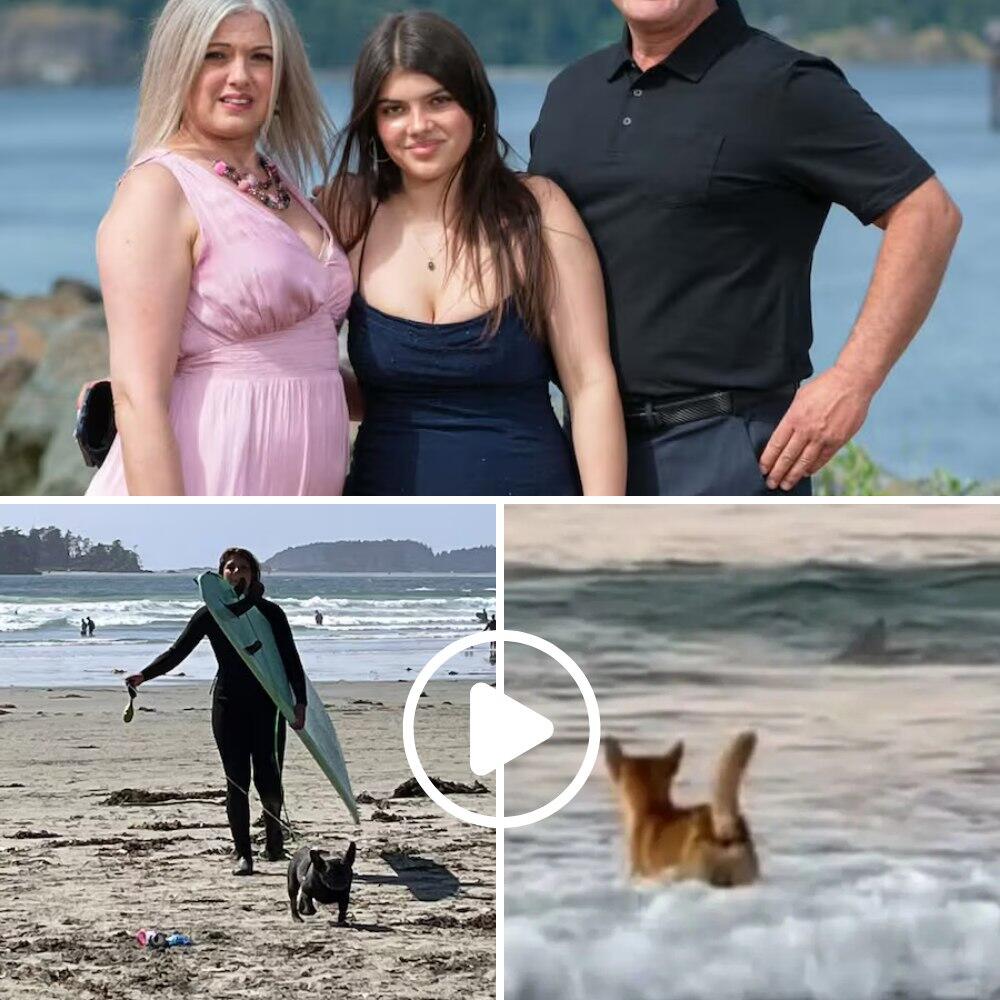 “SECOND 43 CHANGES EVERYTHING!” — Chilling Dawn Video of Missing Backpacker Piper James Leaves Family in Tears and Investigators Stunned