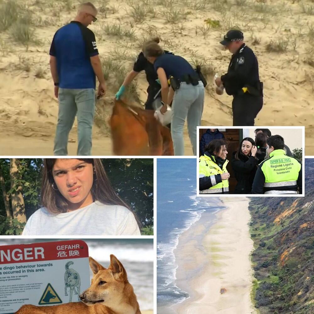 “THE AUTOPSY DIDN’T END THE NIGHTMARE!” — Shocking New Findings in Dingo Death of Canadian Backpacker Piper James Leave Family with More Questions Than Answers