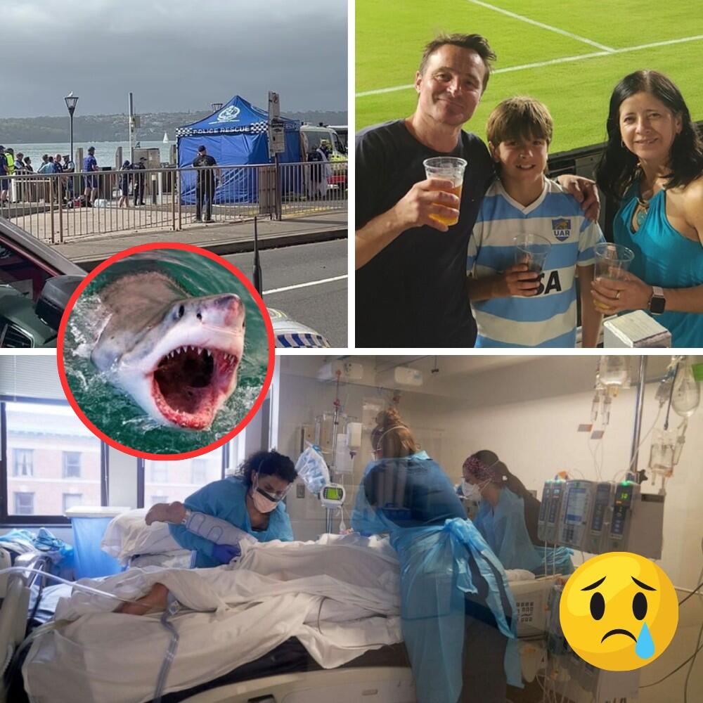 “DOCTORS THOUGHT HE WOULD SURVIVE… THEN THE MONITOR SCREEN CHANGED HIS STATUS”: Inside the terrifying midnight turn after 12-year-old Nico Antic was pulled from Sydney Harbour — and the moment hope turned into horror