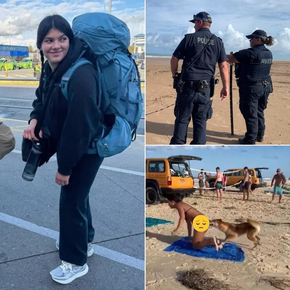 “SURROUNDED BY DINGOES AT DAWN!” — Canadian Backpacker’s Dream Trip Ends in a Nightmare on Paradise Beach as Autopsy Reveals a Chilling Twist