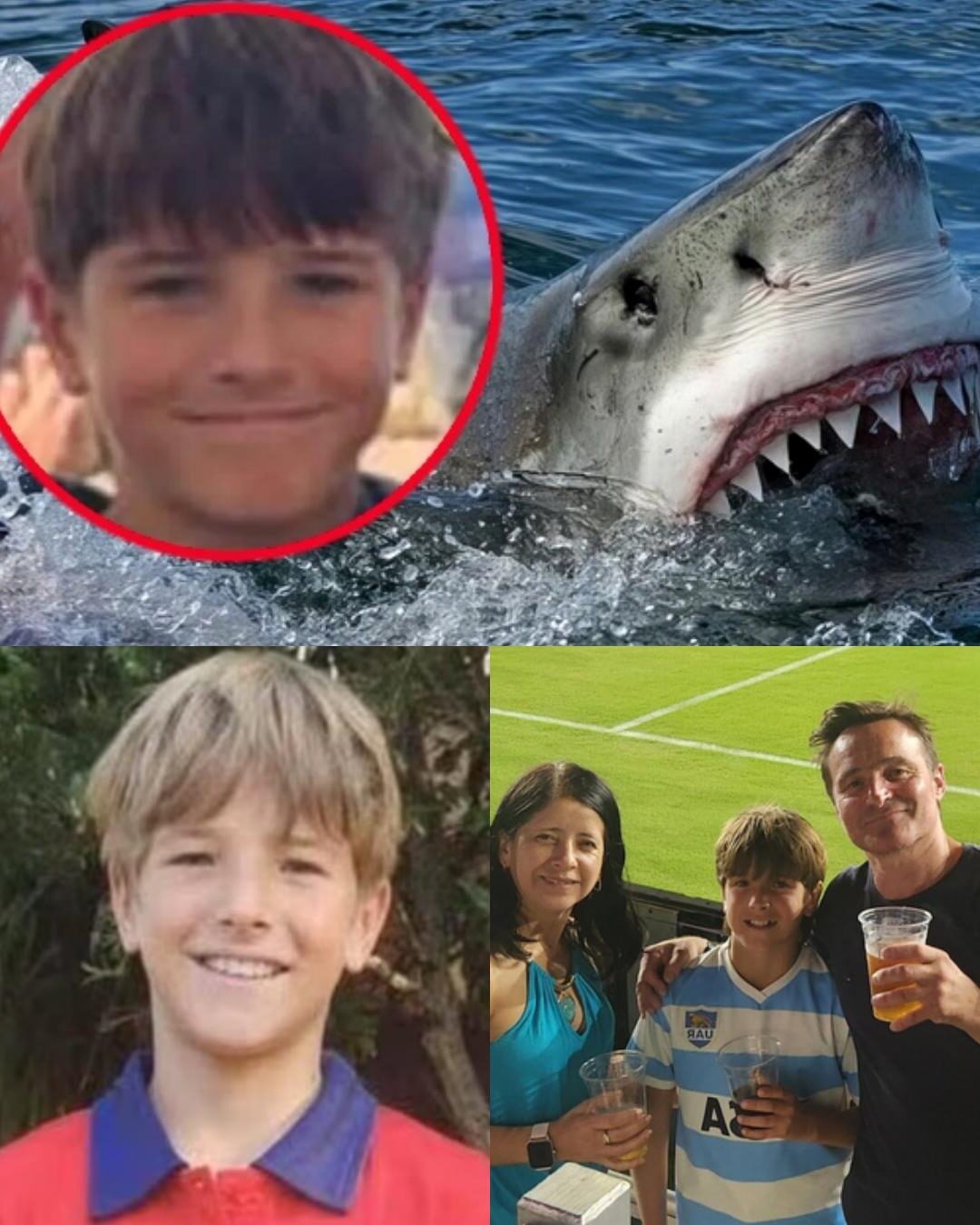 “He whispered just three words…” — The chilling final message of 12-year-old Nico Antic before the Sydney Harbour shark attack ended in heartbreak