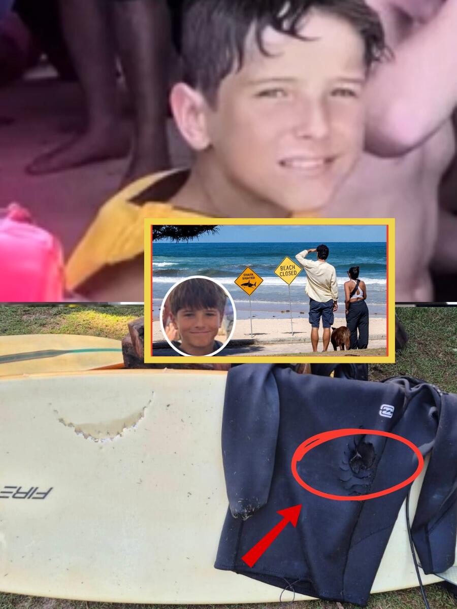 “IT WASN’T JUST THE SHARK?” — Parents’ HORRIFYING Discovery on Their Son’s Shirt Sparks New Questions in Tragic Australian Beach Death