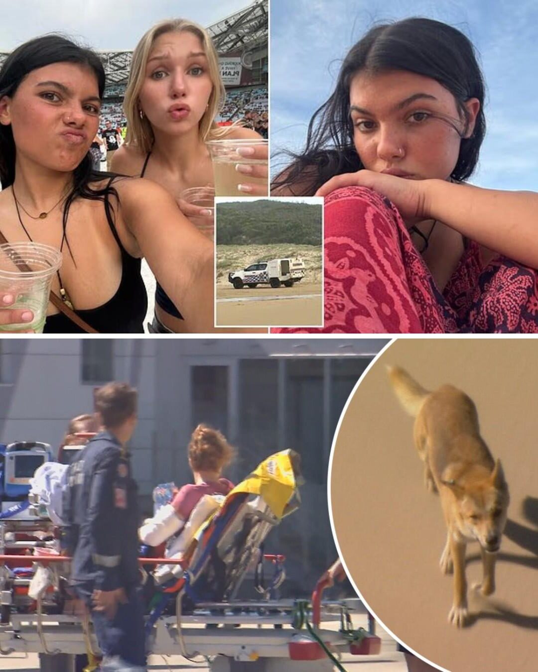 Everything seemed normal on the beach — until one overlooked detail forced the police to reconsider the entire Piper James case.