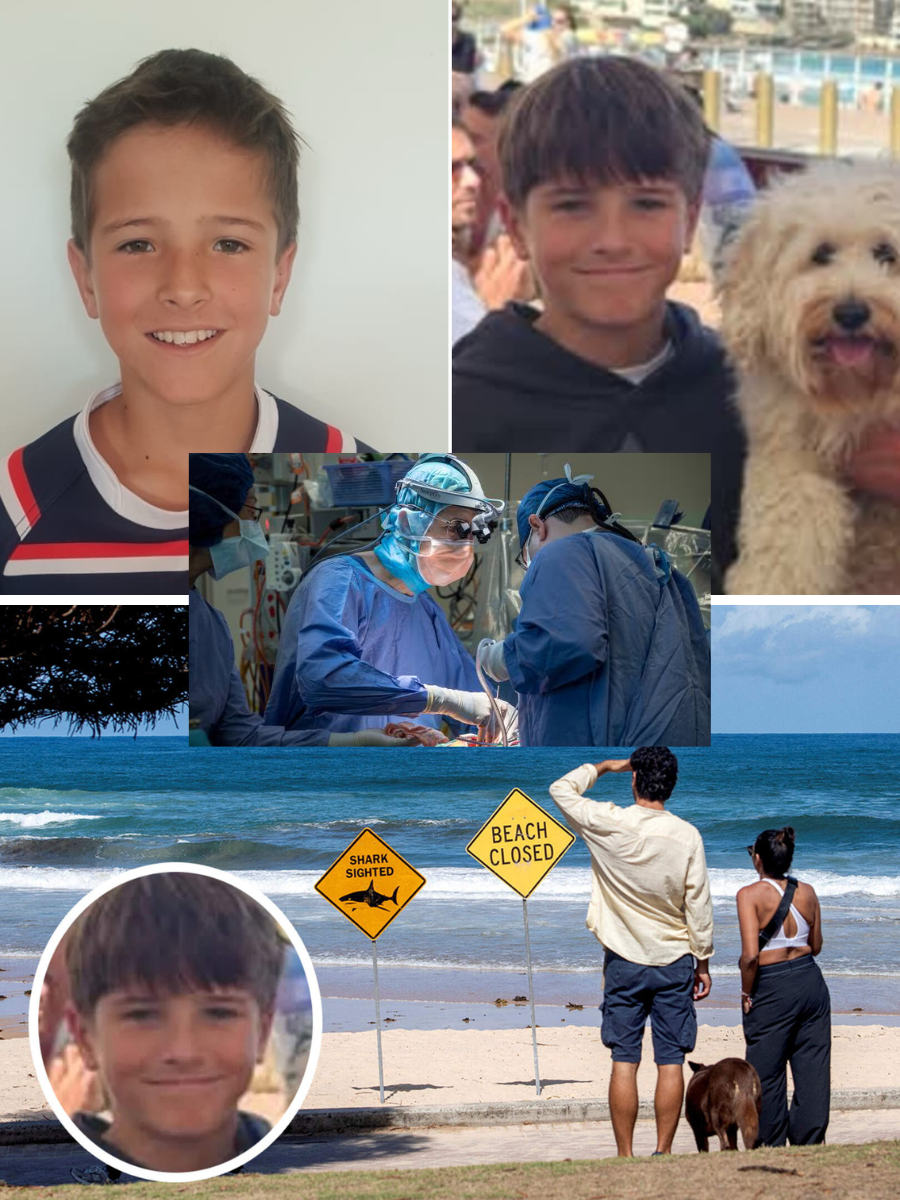 SYDNEY holds its breath — After surviving surgery the night before, 12-year-old Nico Antic showed signs of recovery. But then a sudden, insidious complication changed everything without warning his family…