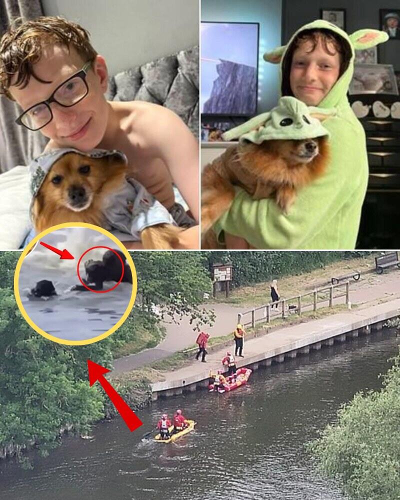 THE HORRIFYING RIVER MYSTERY BECOMES INCREASINGLY MYSTERIOUS: A massive emergency search is underway in South Yorkshire after an 11-year-old boy went missing in the river. This heartbreaking incident has pushed the number of drownings in the area to a staggering 17 victims. Investigators have just discovered a suspicious clue near the riverbank that completely changes the nature of the disappearance